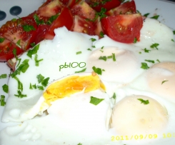 Spiegeleier gedämpft