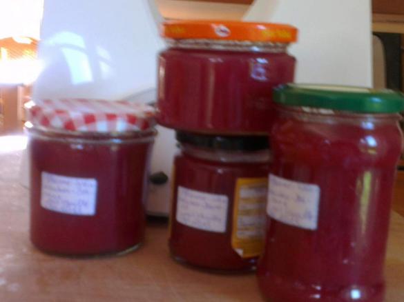 Pflaume-Weintrauben-Banane-Konfitüre mit Vanille