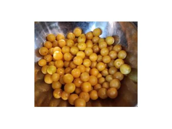 Mirabellen/ Kirschen entkernen/entsteinen