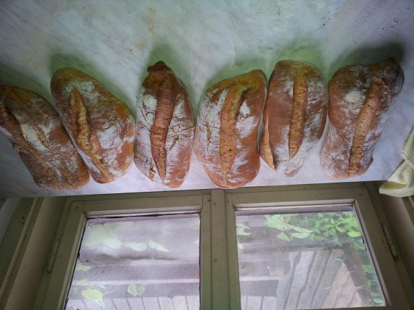 Ciabatta (Pizzateig)