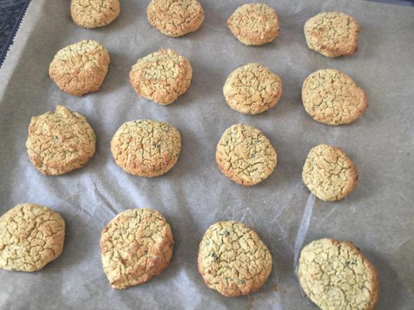 Falafel - mit Salat und Zaziki   Ww- Rezept