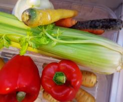 Basische Gemüsesuppe mit Sellerie, Fenchel, Möhren
