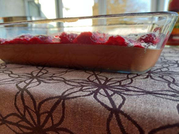 veganer Schokopudding mit Kokosmilch