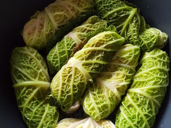 Wirsingrouladen