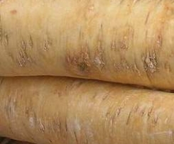 Mit der Natur gegen Schnupfen