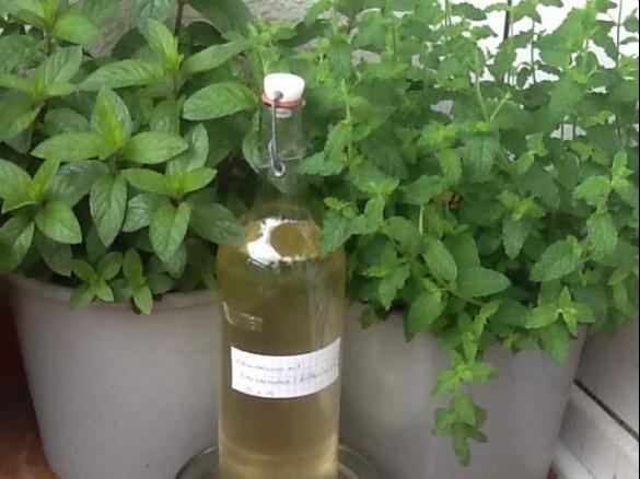 Holunderblüten-Zitronenmelisse-Erbeerminzen-Sirup