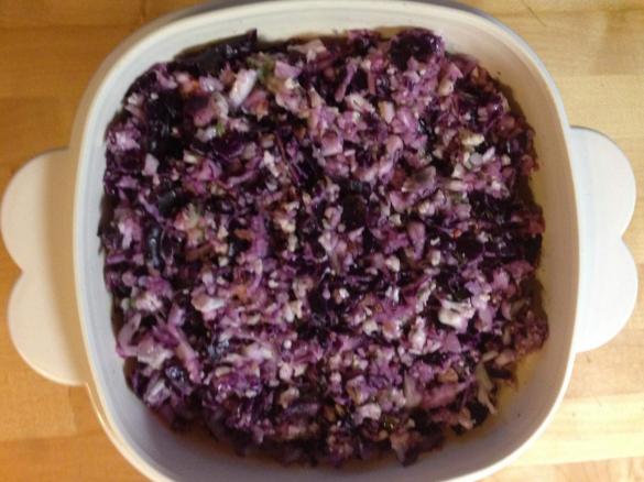 Variation von Rohkost-Salat JAHRESZEITLICH: Rotkohl/ Rotkraut