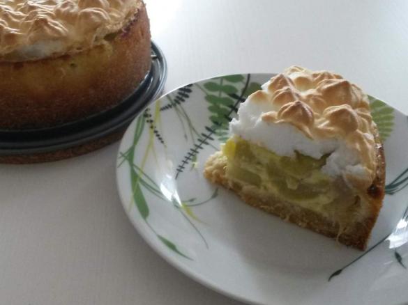 Low Carb  Zarter Rhabarber-Vanille-Kuchen (glutenfrei) für 18 cm Springform