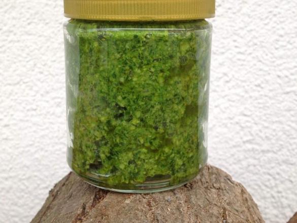 Sauerampfer-Pesto