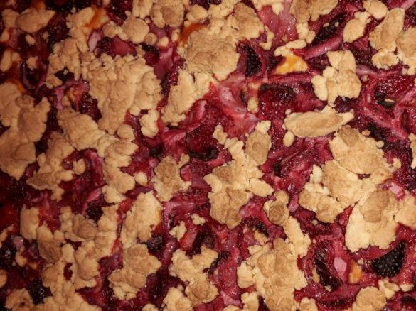 Variation von Quark- Erdbeer- Streuselkuchen (glutenfrei)