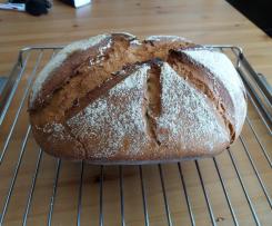 Carmens Alltags 5 Minuten Brot