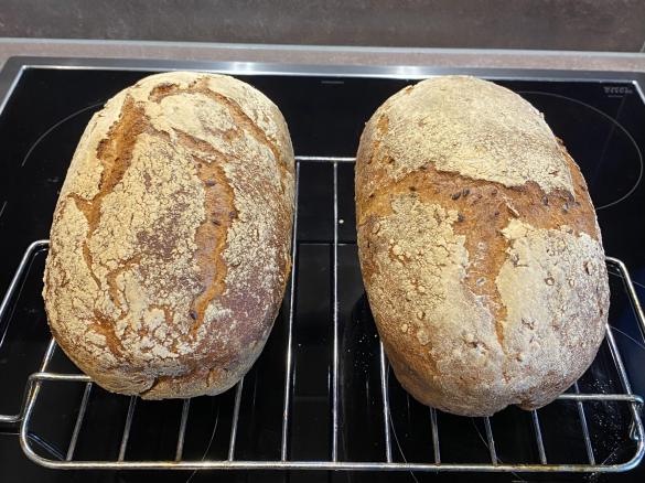 Schwarzwälder Krustenbrot