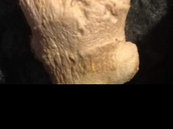 Ingwermus Vorrat für Tee 