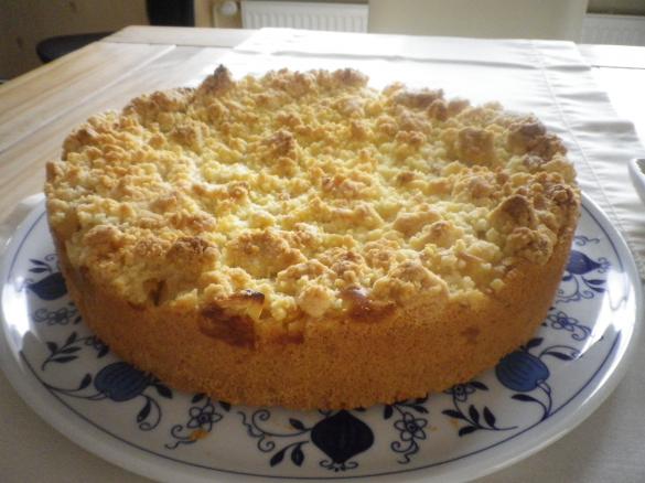 Apfelkuchen mit Pudding und Streusel