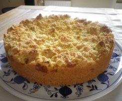 Apfelkuchen mit Pudding und Streusel