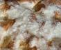 thumbnail image 1