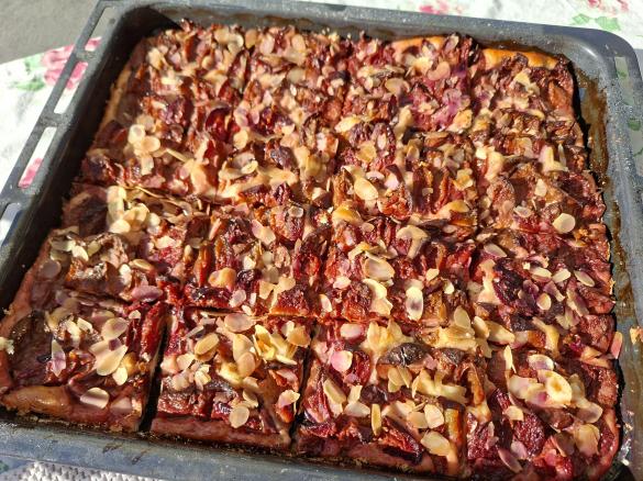 Zwetschgenkuchen Öl Quarkteig