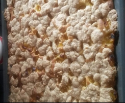 Blechkuchen Mirabellen - Hefeteig glutenfrei, milchfrei