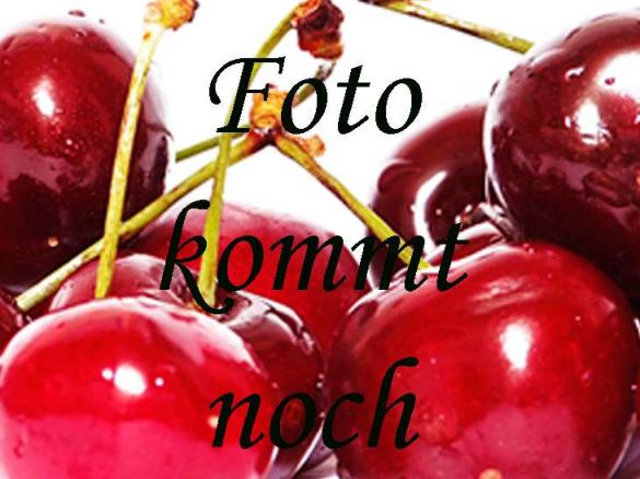 Schoko-Kirsch-Kuchen