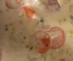 Lauch - Käse - Suppe