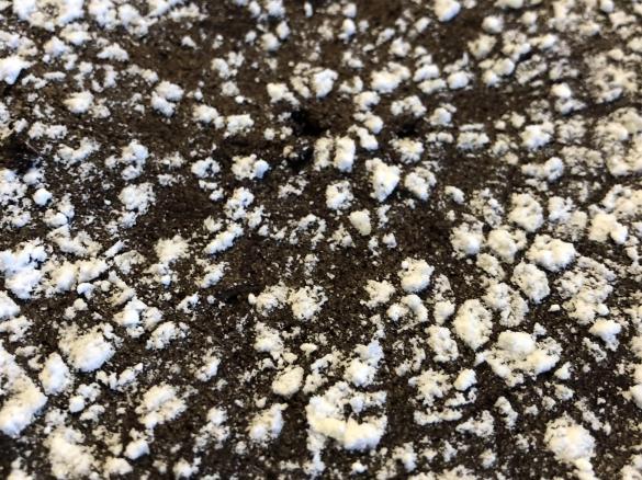 Schokokuchen Low Carb