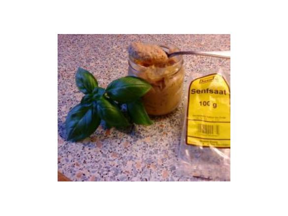 Senf selbst herstellen