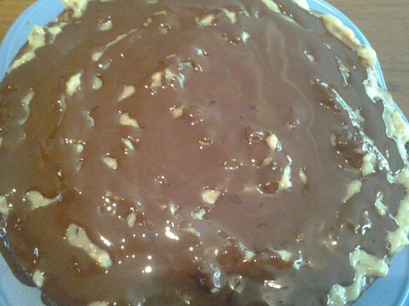 Donauwelle vegan laktosefrei