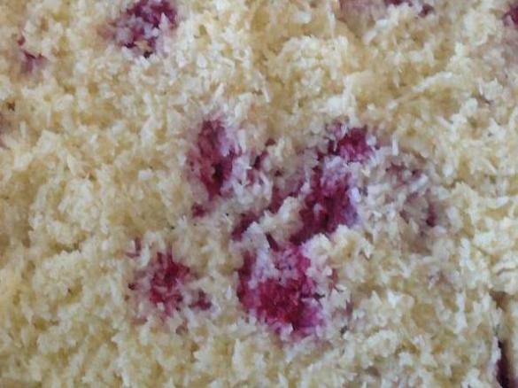 Himbeer-Kokos-Schnitte