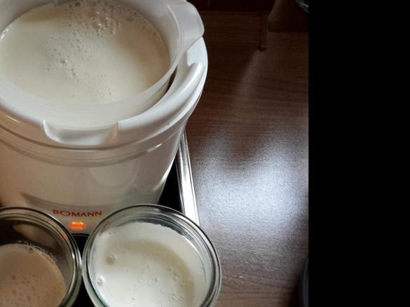 Joghurt "natur" mit Traubenzucker 