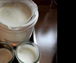Joghurt "natur" mit Traubenzucker 