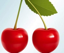 Variation von Schwäbischer-Kirschkuchen