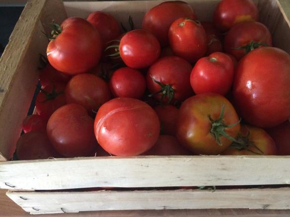 Tomatensoße (zum einkochen)