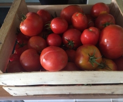 Tomatensoße (zum einkochen)