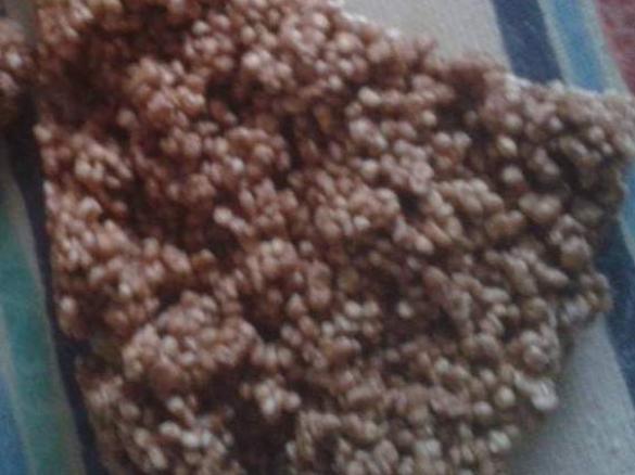 Amaranth Puffschnitten