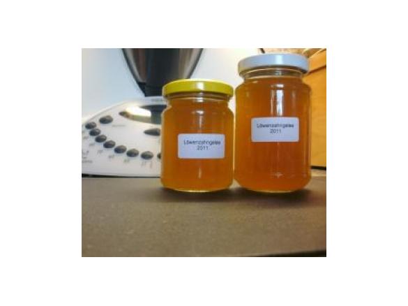 Löwenzahngelee  -  RdT am 9.5.2011 Löwenzahnblüten - Gelee