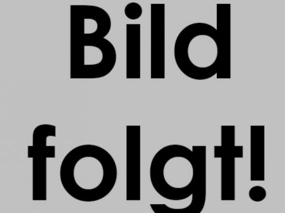 Dunkle Zwiebelsoße - Zwiebelsauce dunkel