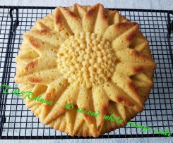 30 Sekunden Orangenkuchen