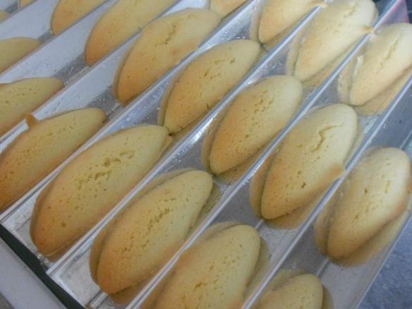 Wolfszähnchen (Original)