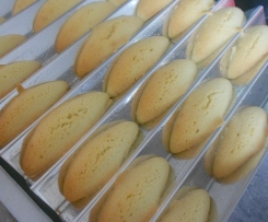 Wolfszähnchen (Original)