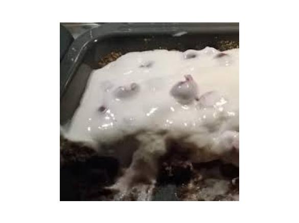 Resteplätzchen-Tiramisu