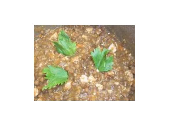 Linsensuppe Vegetarisch
