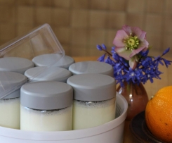 selbstgemachter Joghurt (probiotisch)