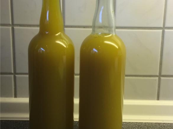 Zitronen-Ingwer-Konzentrat (Anti-Aging + gegen Halsschmerzen)