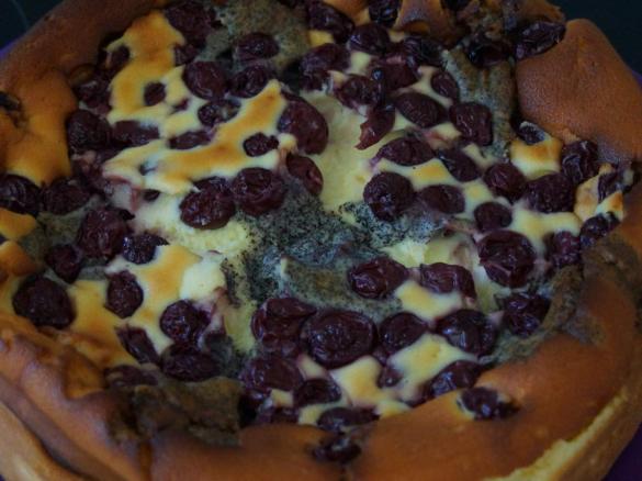 Blitz- Käsekirschkuchen mit Mohn