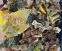 thumbnail image 1