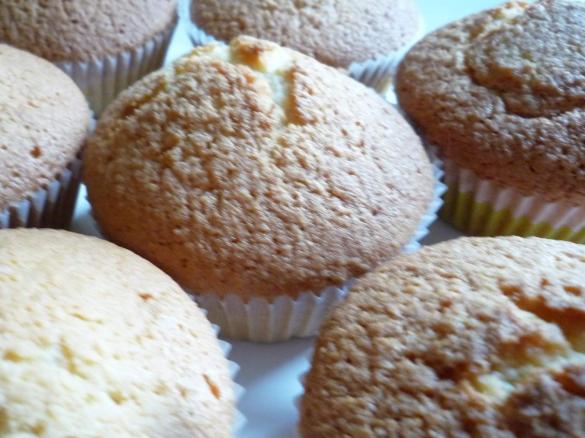 Kokos Muffins Eiweißverwertung