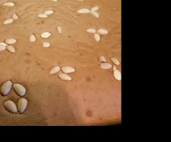 Honigkuchen / schneller Lebkuchen- ideal für die advent und Weihnachtszeit