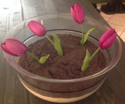 Meine Variation von Blumenerde mit Pfirsichquark