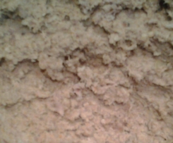 Fleischfüllung für die Maultaschen