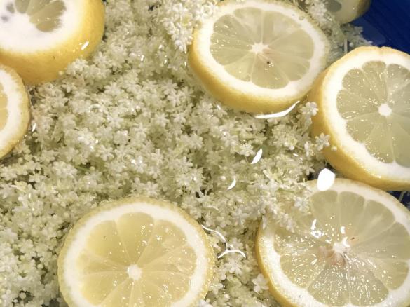 Holunderblütensirup